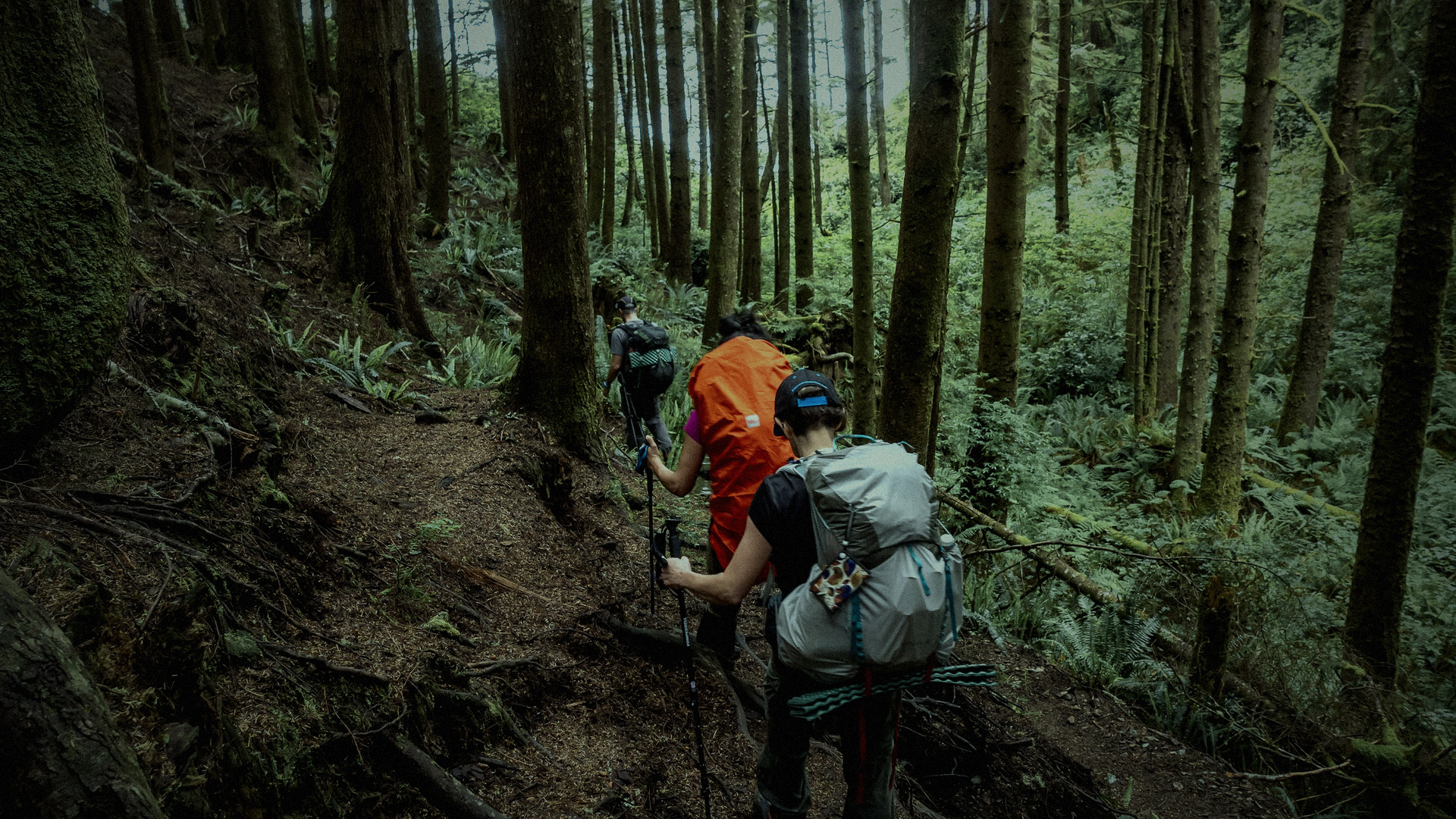 Forest descent