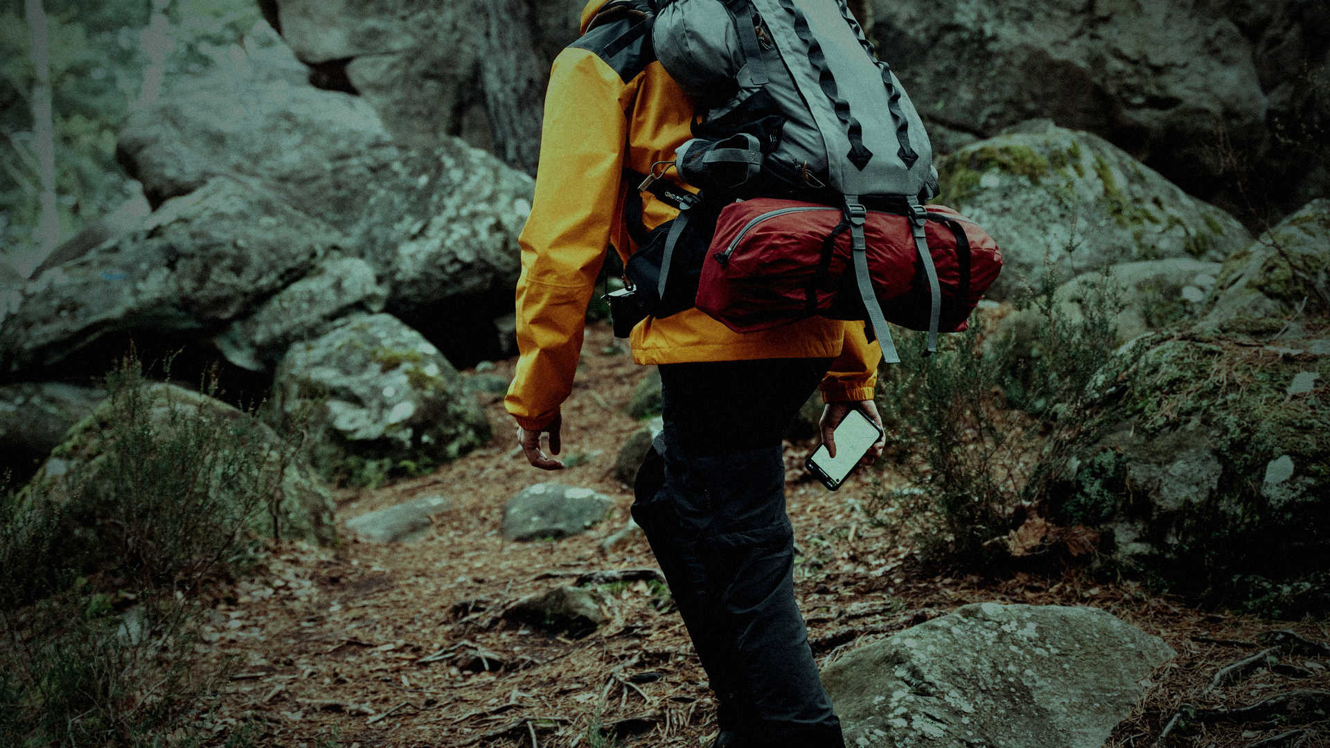 Trail backpacker